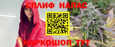 гидра Гусиноозёрск