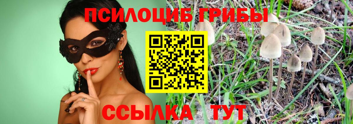 Малгобек  Псилоцибиновые грибы мицелий  Вход с VPN 