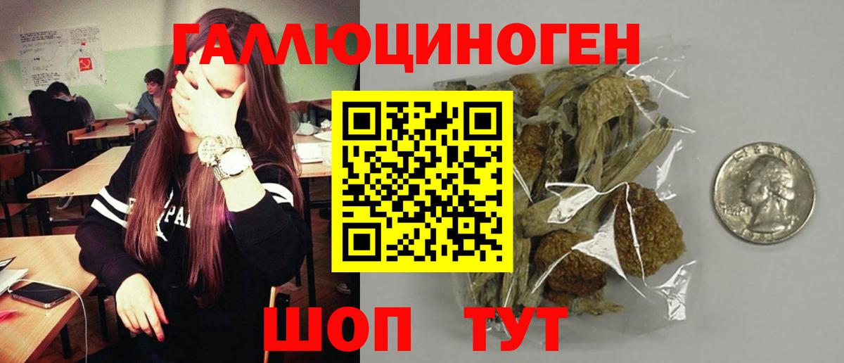 Псилоцибиновые грибы ЛСД Малгобек